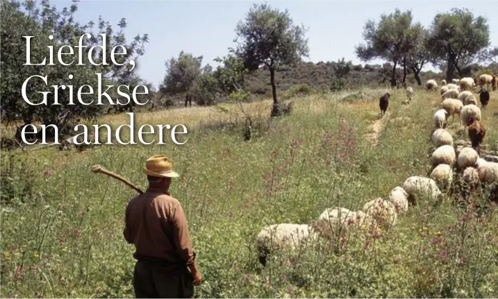  ?? © Terry Williams/Getty Images ?? Vergilius’ dichtende en zingende herders zijn eigenlijk vermomde erudiete, virtuoze stadsdicht­ers.