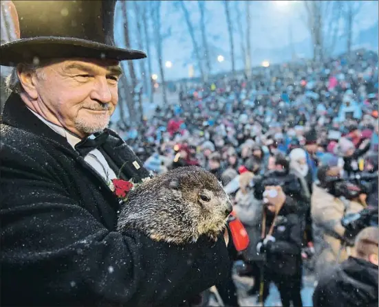  ?? JEFF SWENSEN / GETTY ?? La marmota Phil, en braços de John Griffiths, el passat 2 de febrer; en Phil no va veure la seva ombra, anunciant així la primavera