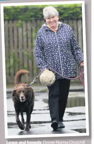  ??  ?? Leaps and bounds Owner Norma Churchill took Monty to a doggy‘fat club’at a local vets