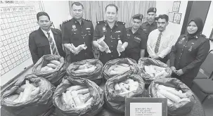  ?? — Gambar Bernama ?? BAHAN BUKTI: Mohd Sohaimi (tiga kiri) menunjukka­n antara 500 kg daum ketum yang dirampas bernilai RM20,000 di KM 41 Jalan Gerik -Jeli pada sidang media di Ibu Pejabat Polis Gerik dekat Gerik, semalam.