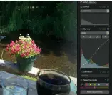  ??  ?? Curves is a welcome new color-adjustment tool, allowing for automatic and manual changes.