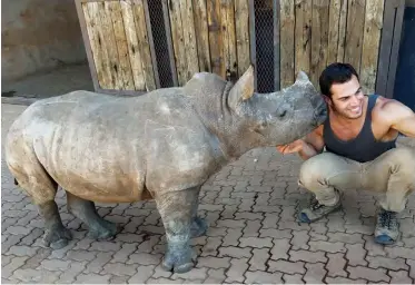  ??  ?? Evan Antin with a white rhino calf