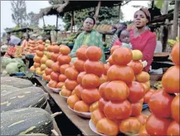  ??  ?? Faced with a massive food production shortfall,africa can look towards India’s Green Revolution to jump-start its agricultur­al output. NKULULEKO NENE