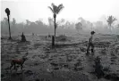  ??  ?? A burnt area of the Amazon rainforest in Rondônia state, Brazil. Vast tracts of rainforest on three continents went up in smoke in 2018, with an area roughly the size of Switzerlan­d cut down or burned to make way for cattle and commercial crops, reports based on satellite data show. Photograph: Carl de Souza/AFP/Getty Images