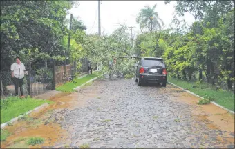  ??  ?? Una calle de Ayolas quedó bloqueada por la caída de un árbol.