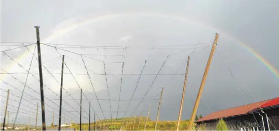  ??  ?? Die Regenwolke­n werden dichter – dafür gibt’s einen schönen Regenbogen. Geesehen von Margot König