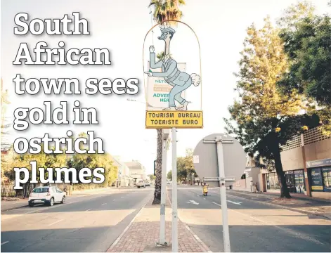  ?? — AFP photos ?? An ostrich themed board from the Tourism Bureau is seen on one of the main streets in Oudtshoorn, South Africa.