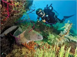  ??  ?? UNDERSEA WORLD: Diving off the Daymaniyat Islands near Muscat