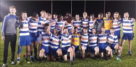  ??  ?? The Blessingto­n under-17 team who defeated St Patrick’s in the Division 2 league final in Ballinakil­l last week.