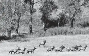  ?? Denver Post file ?? Carl Spreng, the Rocky Flats program manager at CDPHE, says the banning of field trips will prevent some students from enjoying views such as this.