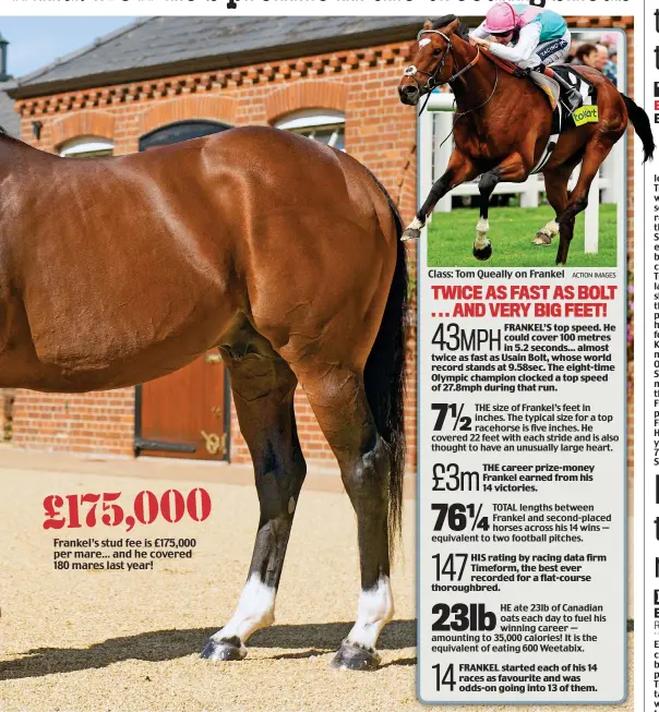  ?? ACTION IMAGES ?? Frankel’s stud fee is £175,000 per mare... and he covered 180 mares last year! Class: Tom Queally on Frankel