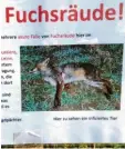  ?? Foto: Diana Zapf‰Deniz ?? In Hirblingen treten aktuell vermehrt Fälle von Fuchsräude auf. Die Krankheit kann auch auf Hunde übertragen wer‰ den.
