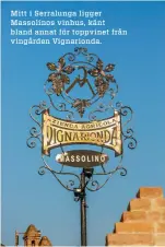  ??  ?? Mitt i Serralunga ligger Massolinos vinhus, känt bland annat för toppvinet från vingården Vignariond­a.