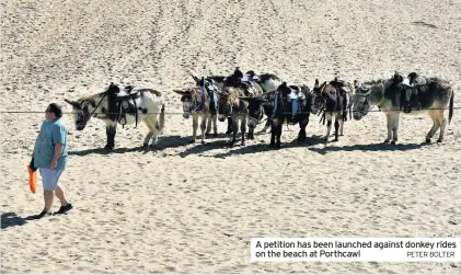  ?? PETER BOLTER ?? A petition has been launched against donkey rides on the beach at Porthcawl