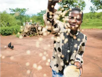  ?? TSVANGIRAY­I MUKWAZHI/AP ?? Maria Chagwena feeds her chickens millet Jan. 18 in Zimbabwe’s Rushinga district. The U.N.’s Food and Agricultur­al Organizati­on is spearheadi­ng a campaign to revive the cultivatio­n of millets, one of the world’s oldest grains.