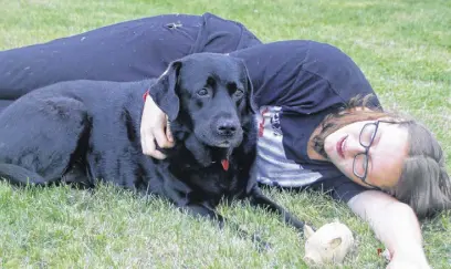  ?? LYNN CURWIN/TRURO NEWS ?? When her vest isn’t on, Bevin, a Dog Guide, is off duty and loves to play and snuggle with her handler, Ama Carey.