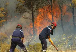  ??  ?? Un des plus beaux massifs forrestier­s de Aïn Mimoune ravagé par les flammes