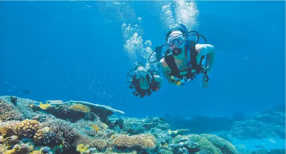  ?? Photo: Darren ?? HUGE GIVEAWAY: This is your opportunit­y to win a trip that includes to nights on Lizard Island. Jew