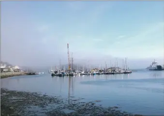  ??  ?? A misty Tarbert harbour.