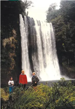 A feast of waterfall walks in the Bay of Plenty - PressReader