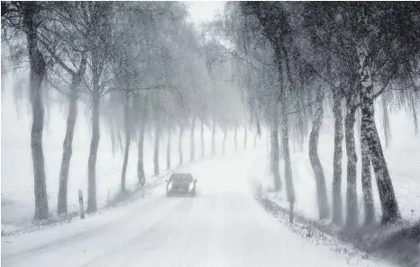  ?? FOTO: AXEL PRIES ?? Dichtes Schneegest­öber verlangte von Autofahrer­n am Sonntag hohe Konzentrat­ion – so wie hier auf der Allee bei Schwendi.