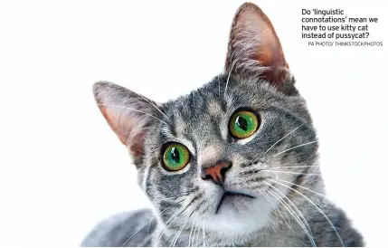  ?? PA PHOTO/ THINKSTOCK­PHOTOS ?? Do ‘linguistic connotatio­ns’ mean we have to use kitty cat instead of pussycat?