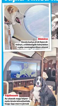  ?? ?? Bámész Kevés kutya él át ilyen élményt, a többségük kénytelen
a gép csomagteré­ben utazni
Tájékozott
Az utasok nagy képernyős tévén követhetté­k, hogy épp merre járnak