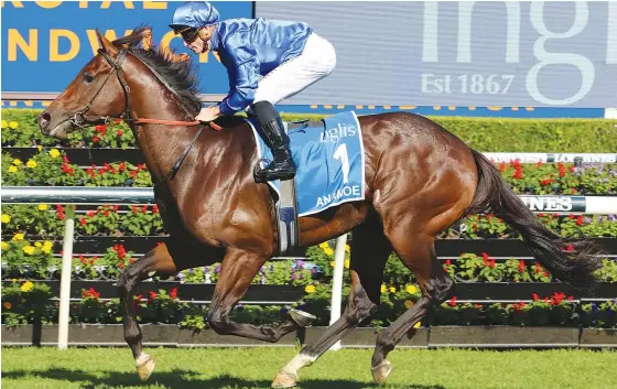  ?? ?? Classy Godolphin colt Anamoe is out to enhance his stud career when he lines up in tomorrow’s Group 1 Caulfield Guineas. Pic by Grant Guy.