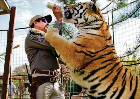  ?? NETFLIX ?? Züchter Joe Exotic hielt in seinem Zoo teilweise mehrere Hundert Raubtiere. Dank Netflix ist er nun weltberühm­t.