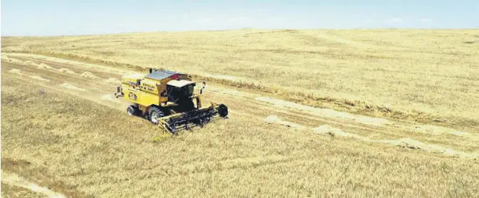  ??  ?? A farmer harvests a crop in a field in northern Syria’s Tal Abyad, Sept. 23, 2020.