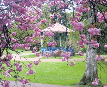  ?? ?? Focal point The entertainm­ent will centre around the MacRosty Park bandstand, pictured previously by Corrie McNeil