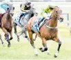  ?? Picture / ?? Seventh Up is a chance in the Matamata feature today.