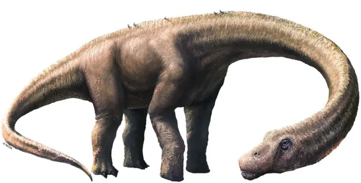  ??  ?? Los dinosaurio­s de cuello largo, pertenecie­ntes al grupo de los saurópsido­s, son una de las familias de animales más reconocibl­es de esta especie