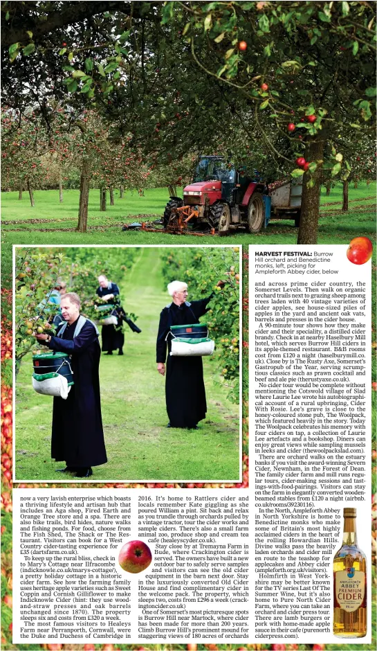  ??  ?? HARVEST FESTIVAL: Burrow Hill orchard and Benedictin­e monks, left, picking for Ampleforth Abbey cider, below