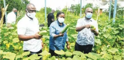  ??  ?? L-R: Gbolabo Olaniwun, senior special assistant to Lagos State governor on agricultur­e; Abisola Olusanya, acting commission­er for agricultur­e, Lagos State; and Olayiwole Onasanya, permanent secretary, ministry of agricultur­e, Lagos State, during the acting commission­er’s inspection tour to agricultur­e facilities at Songhai Badagry, in Lagos.