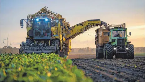  ?? FOTO: DPA ?? Die Naturschut­zverbände Nabu und BUND fordern, die Höhe der EU-Subvention­en für Landwirte von ihrem Einsatz für Klima-, Umwelt- und Artenschut­z abhängig zu machen.