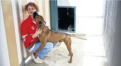  ??  ?? La veterinari­a María Jesús Ramírez ofrece golosinas a uno de los animales del centro.