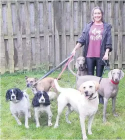  ??  ?? Walkies Gillian Brown with some of her four-legged friends