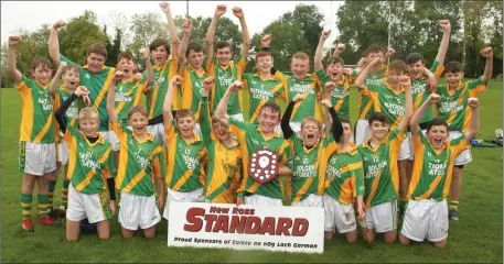  ??  ?? All smiles from Rathgarogu­e-Cushinstow­n after their New Ross Standard Under-14 hurling shield success.