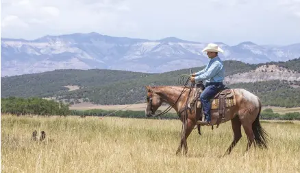  ??  ?? Stand at a safe distance and pull the log closer with your own arm strength. Your horse will want to back up away from the log until he accepts the log moving toward him and stands still.