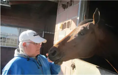  ??  ?? LOOKING FOR LONGER. Trainer Vaughan Marshall with Tap O’ Noth. Running over 1400m is clearly now too short for him, and his main aims are the Queen’s Plate and Sun Met.