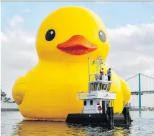  ??  ?? The world’s largest rubber duck is on a tour to celebrate Canada’s 150th birthday, including a stop in Amherstbur­g Aug. 5-6.