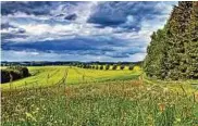  ??  ?? Den Mai im Schieferge­birge auf den Höhen der Steinernen Heide hielt Reiner Schlegel aus Großgeschw­enda fest.