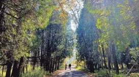  ?? PHOTOS BY MIKE DE SISTI/MILWAUKEE JOURNAL SENTINEL ?? People walk on a path at Harrington Beach State Park in Belgium on Oct. 22, 2022.