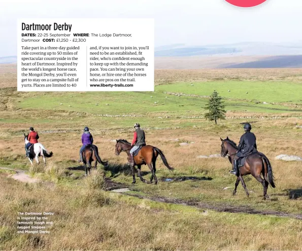  ??  ?? The Dartmoor Derby is inspired by the famously tough and rugged Steppes and Mongol Derby