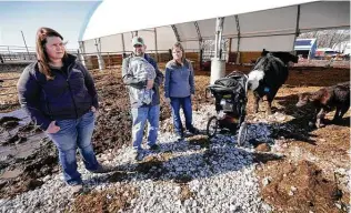  ?? Charlie Neibergall / Associated Press ?? Vaughn Farms co-owners Jerilyn Hergenrede­r, left, Mat Vaughn and his wife, Jalane Vaughn, talk about their specialty cattle operation near Maxwell, Iowa.