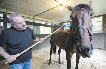  ??  ?? Part- owner Brent MacGrath gives Somebeachs­omewhere a back rub in his stall at Hanover Shoe Farms.