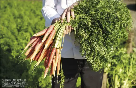  ??  ?? The organic edible gardens at Six Senses Uluwatu, Bali uses compost made from the kitchens and restaurant­s' food waste.