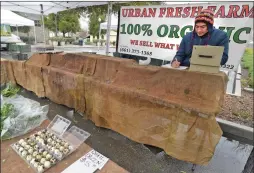  ?? Dan Watson/The Signal ?? (Above) Quail eggs are all that’s left on display as Guido Emilio, of Urban Fresh Farms, tallies his sales after selling out of 75 dozen eggs in the first hour at the Old Town Newhall Farmers Market on Saturday. (Below) Debby Urrutia of Acton Farms, harvests naturally grown kale, red cabbage and pea shoot microgreen­s for shoppers at the market.