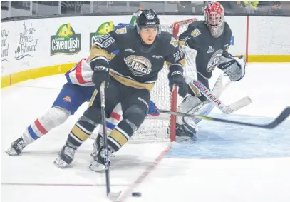 Preview  October 16 vs Drummondville - Charlottetown Islanders